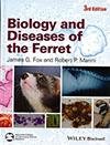 Biology of Ferret